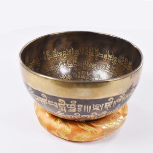 Tibetan Brass 6 Inch Singing Bowl with Wooden Mallet – Style 2