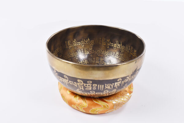 Tibetan Brass 6 Inch Singing Bowl with Wooden Mallet – Style 2