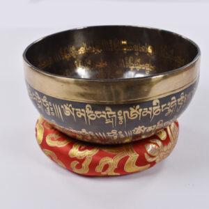 Tibetan Brass 9 Inch Singing Bowl with Wooden Mallet – Style 2